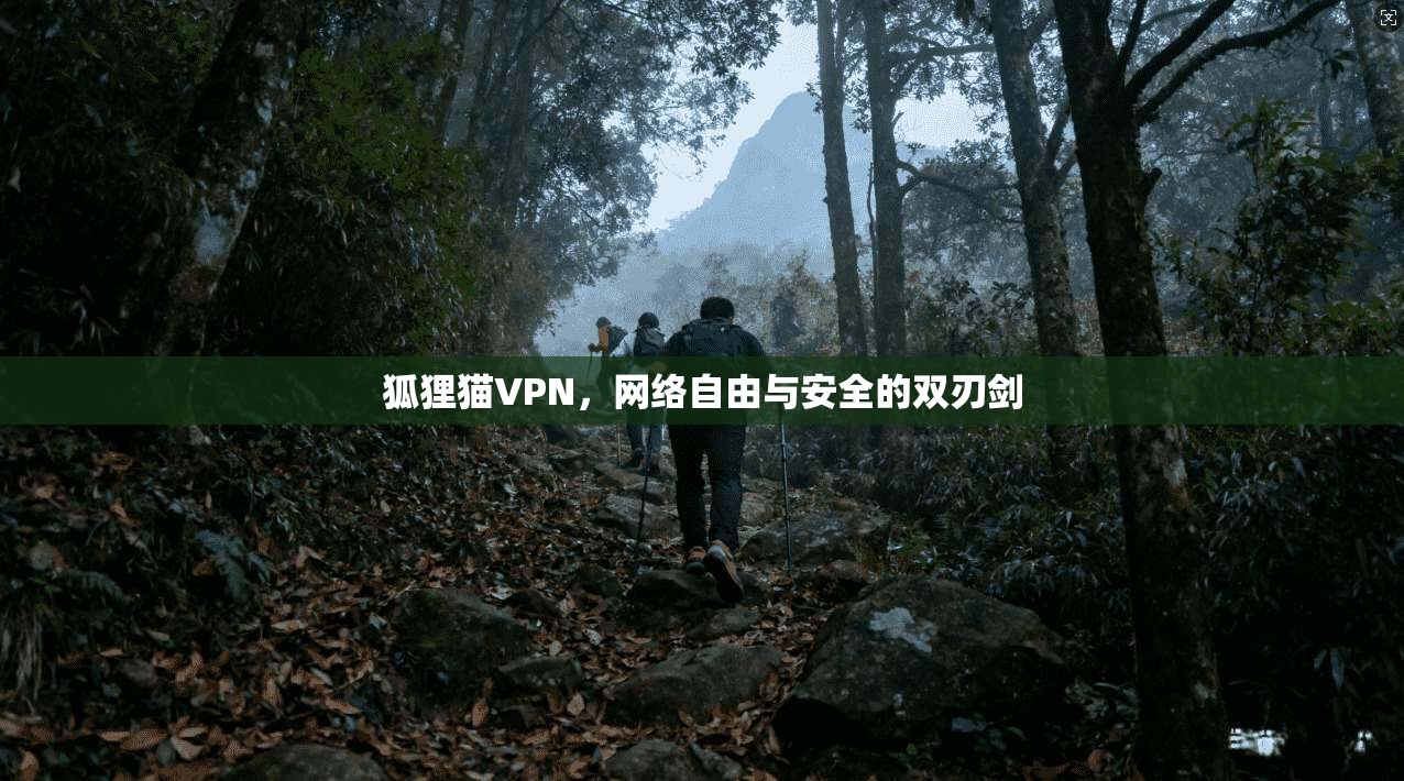 狐狸猫VPN,网络自由与安全的双刃剑 狐狸猫VPN,网络自由与安全的双刃剑