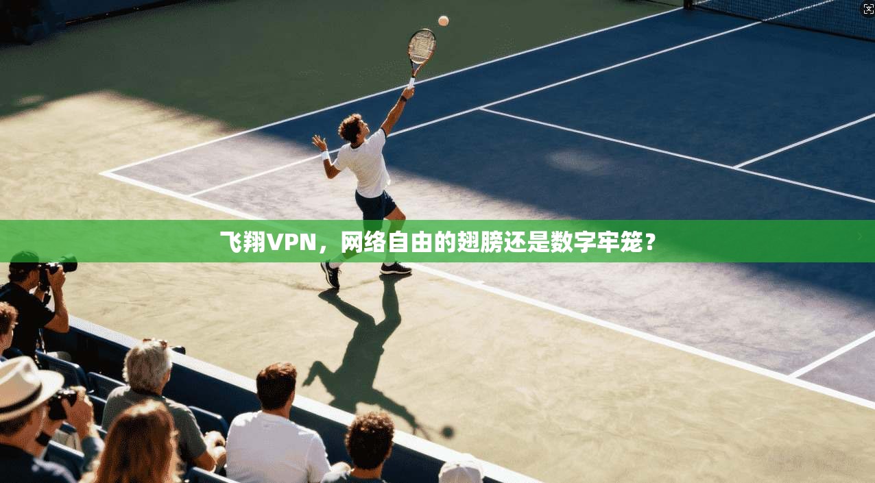 飞翔VPN，网络自由的翅膀还是数字牢笼？