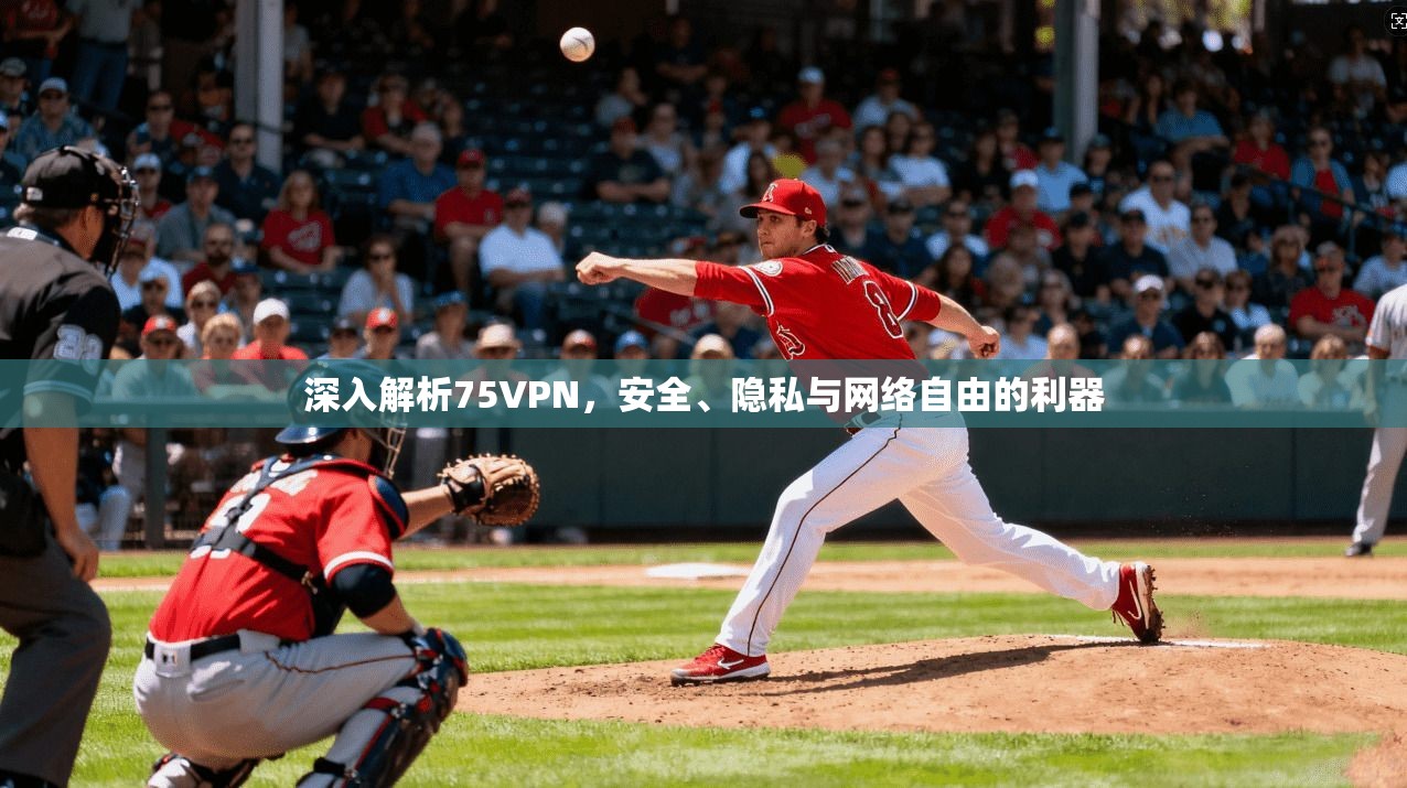 深入解析75VPN，安全、隐私与网络自由的利器