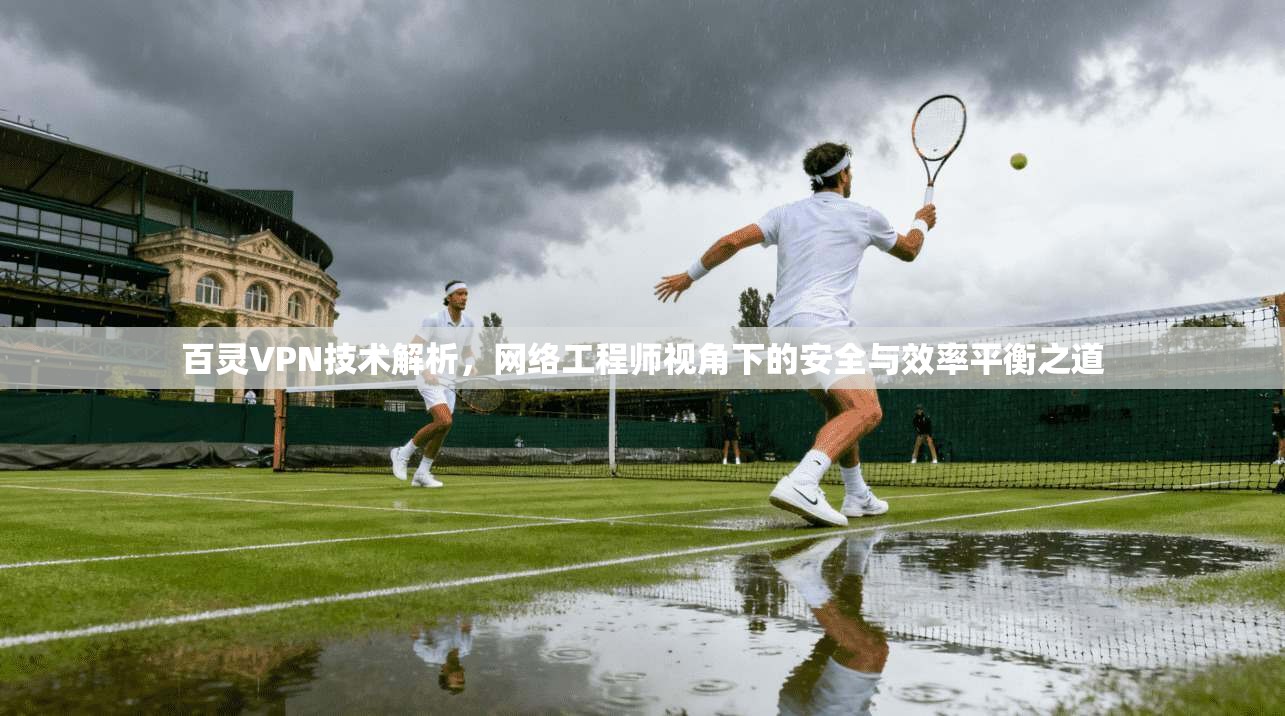 百灵VPN技术解析，网络工程师视角下的安全与效率平衡之道