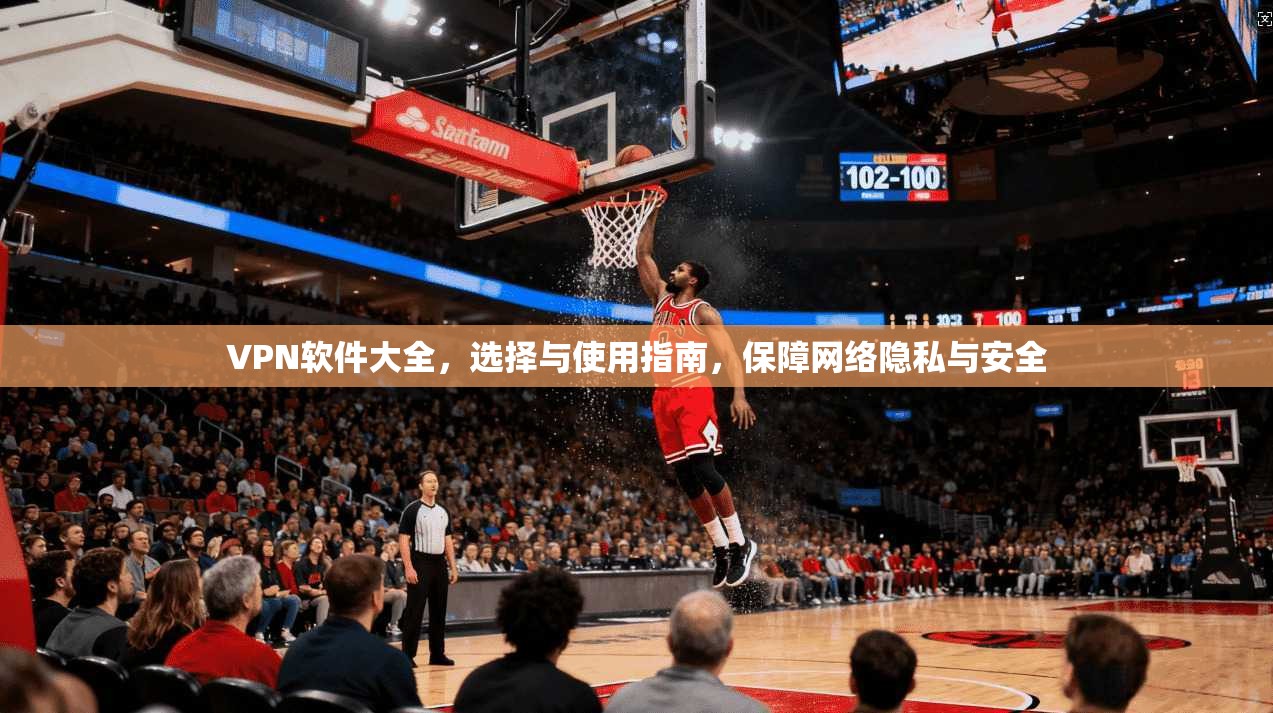 VPN软件大全,选择与使用指南,保障网络隐私与安全