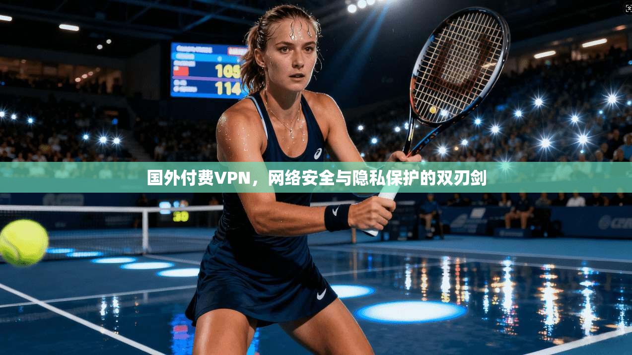 国外付费VPN，网络安全与隐私保护的双刃剑