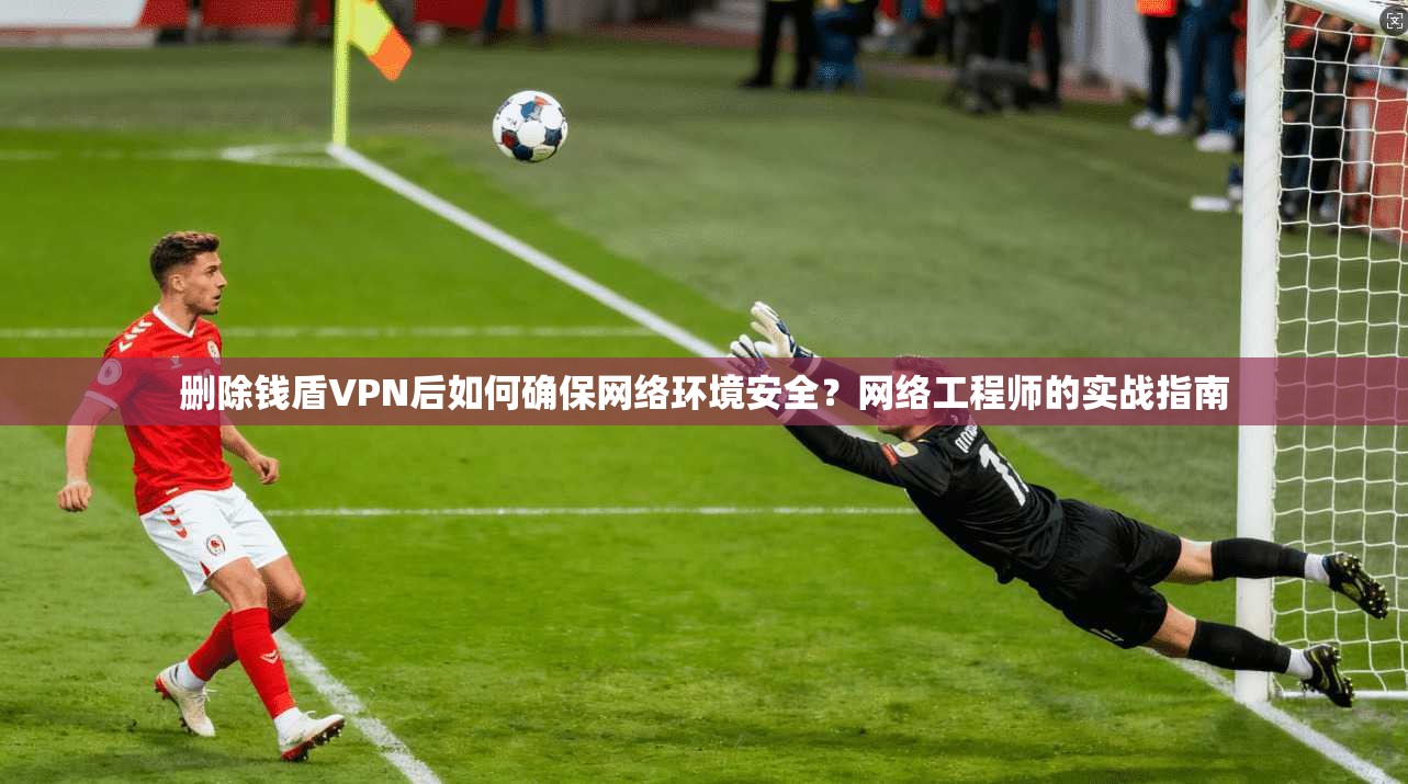 删除钱盾VPN后如何确保网络环境安全?网络工程师的实战指南
