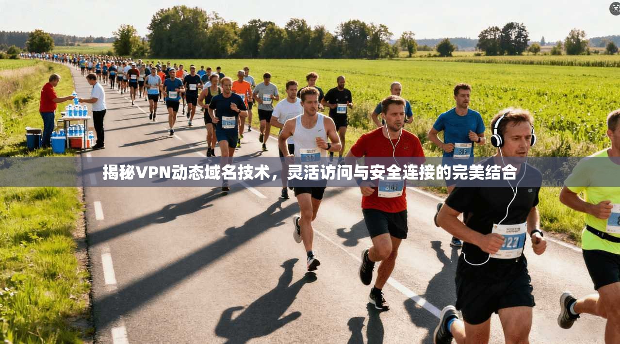 揭秘VPN动态域名技术,灵活访问与安全连接的完美结合
