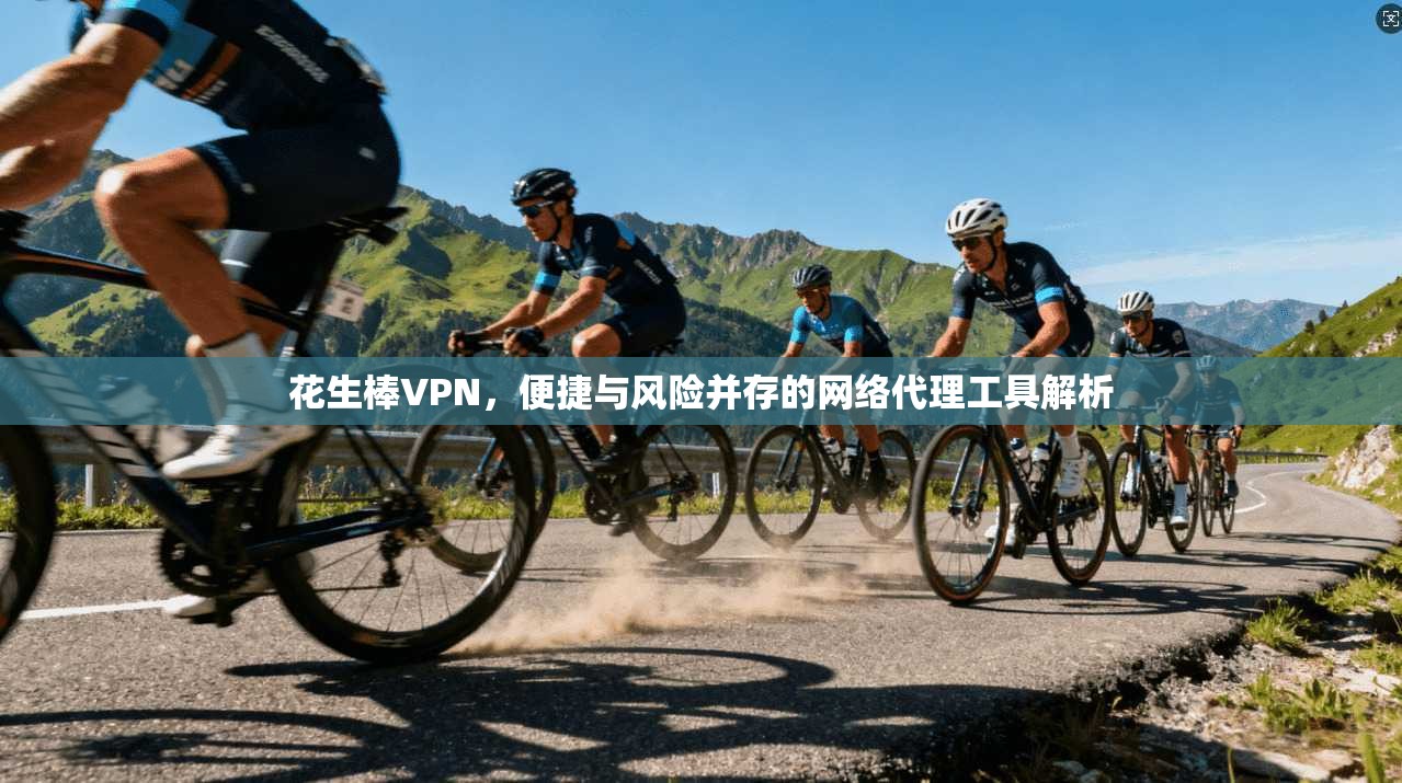 花生棒VPN,便捷与风险并存的网络代理工具解析