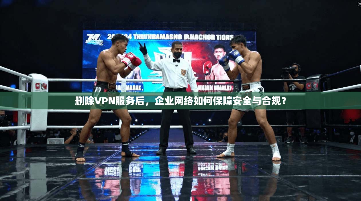 删除VPN服务后，企业网络如何保障安全与合规？