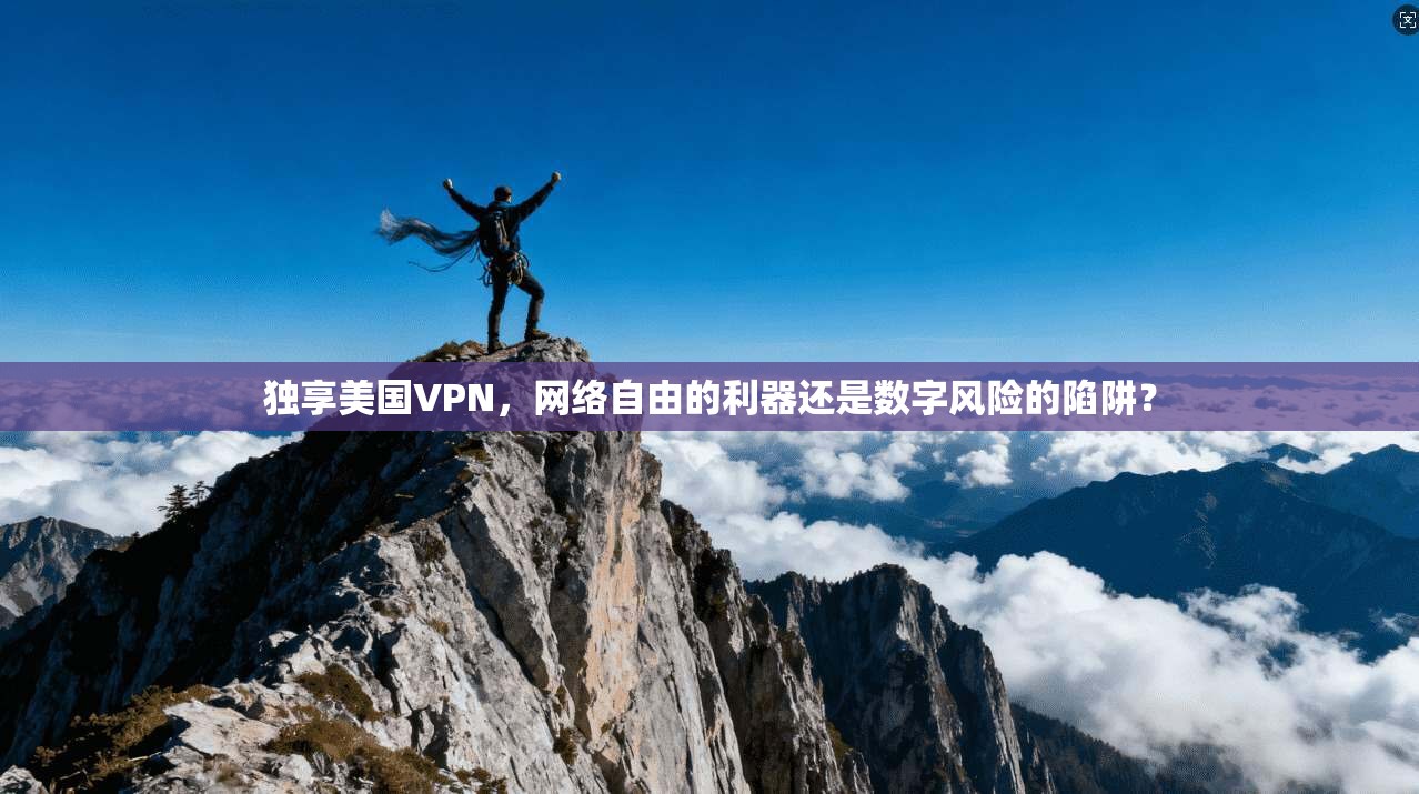 独享美国VPN,网络自由的利器还是数字风险的陷阱?
