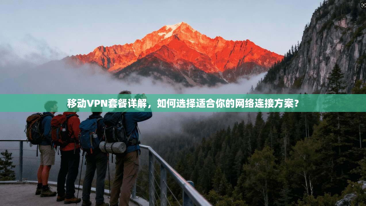 移动VPN套餐详解,如何选择适合你的网络连接方案?