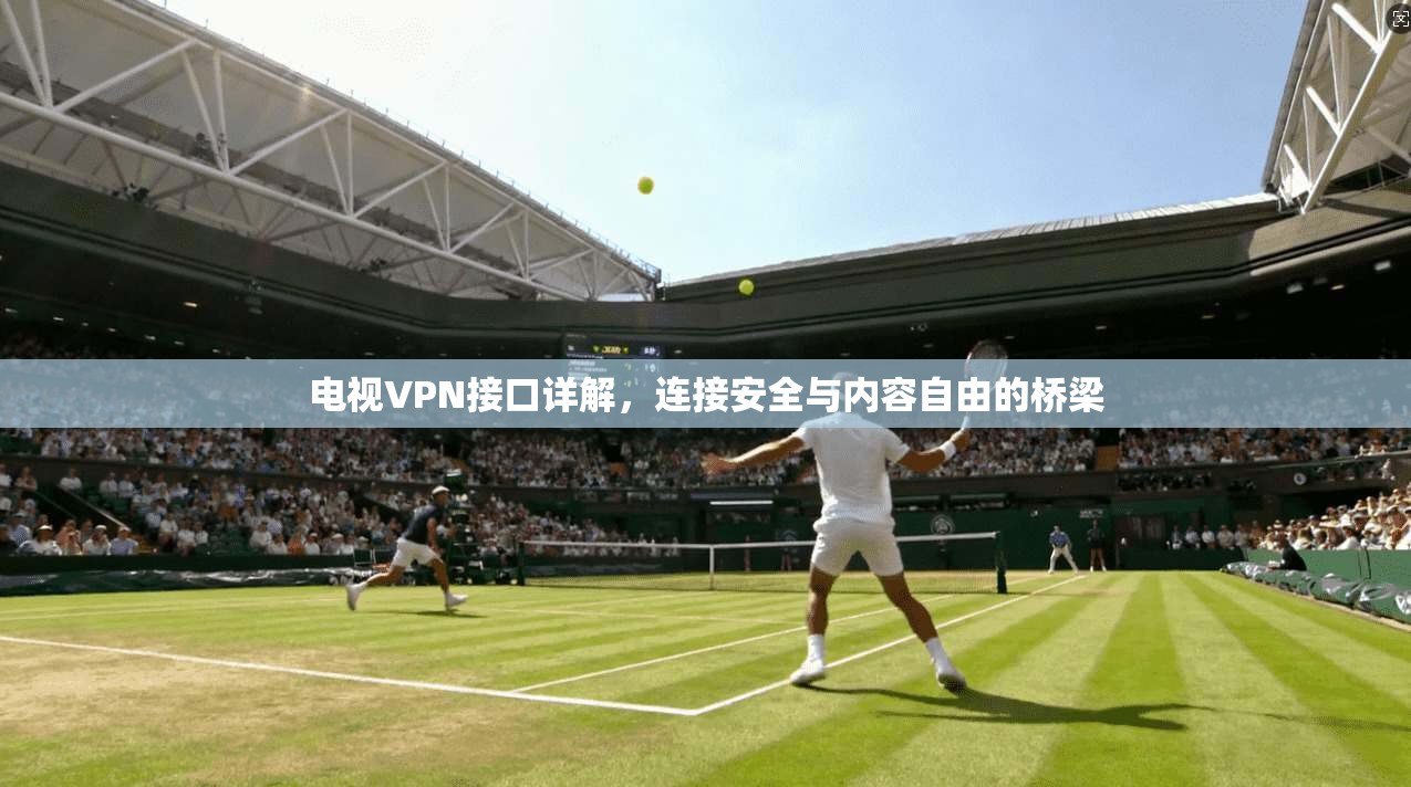 电视VPN接口详解，连接安全与内容自由的桥梁