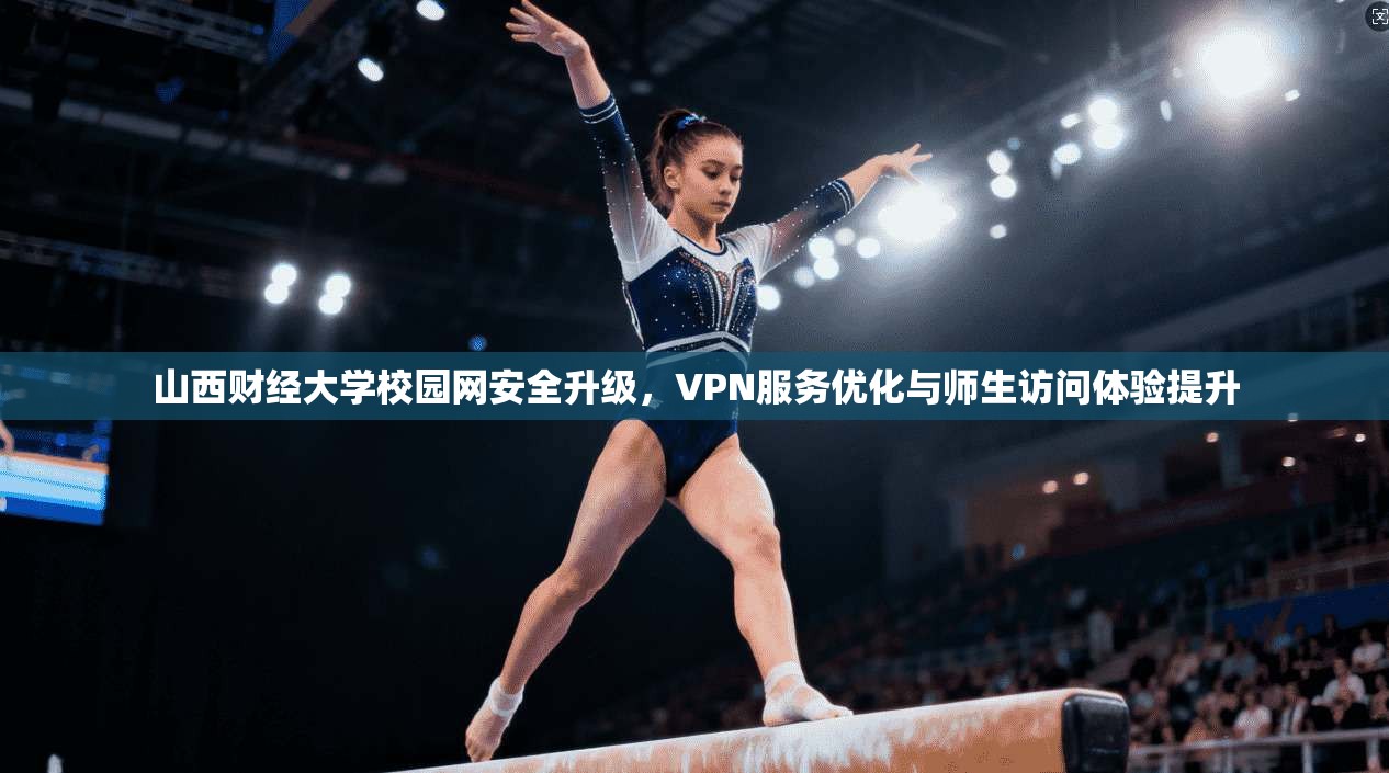 山西财经大学校园网安全升级，VPN服务优化与师生访问体验提升