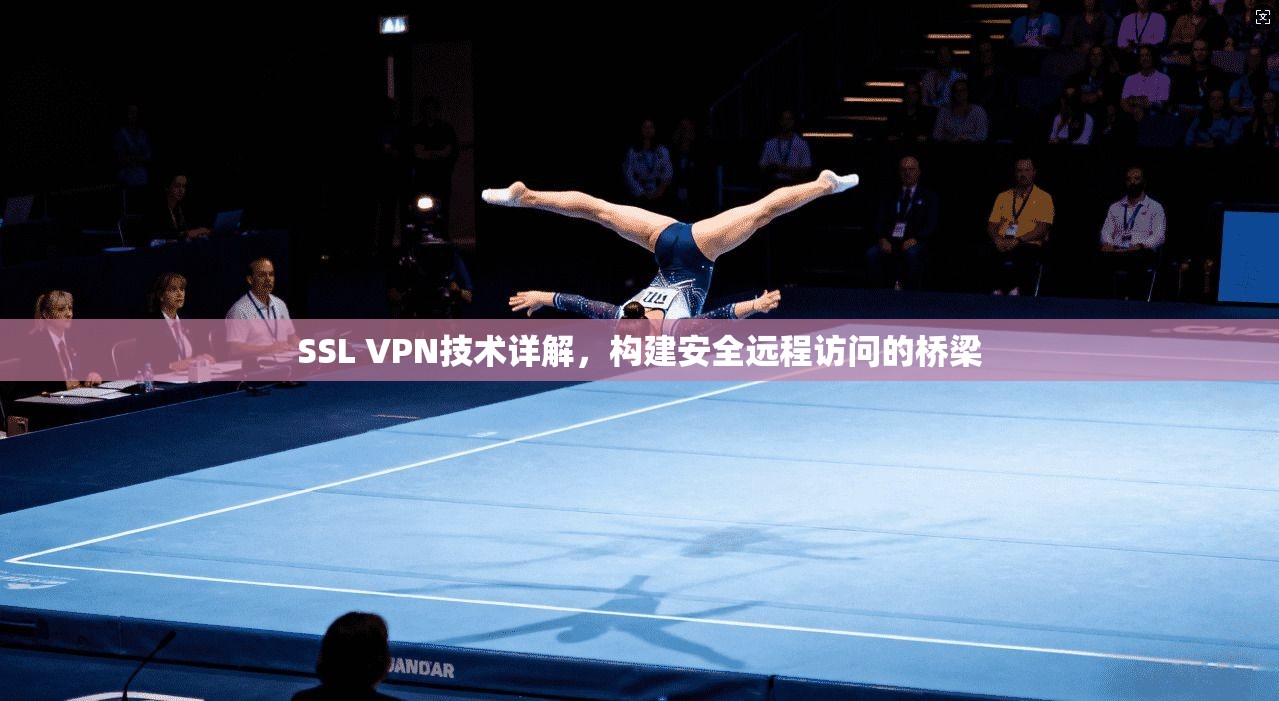 SSL VPN技术详解，构建安全远程访问的桥梁
