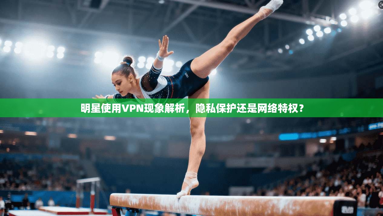 明星使用VPN现象解析，隐私保护还是网络特权？