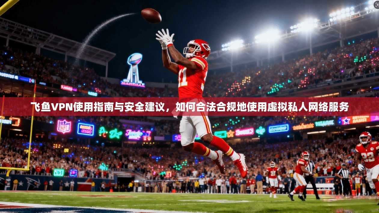 飞鱼VPN使用指南与安全建议,如何合法合规地使用虚拟私人网络服务