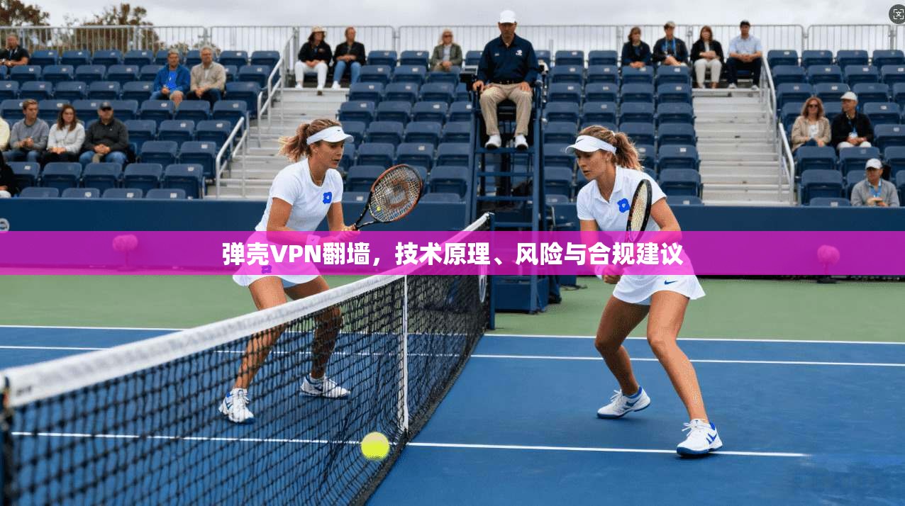 弹壳VPN翻墙，技术原理、风险与合规建议