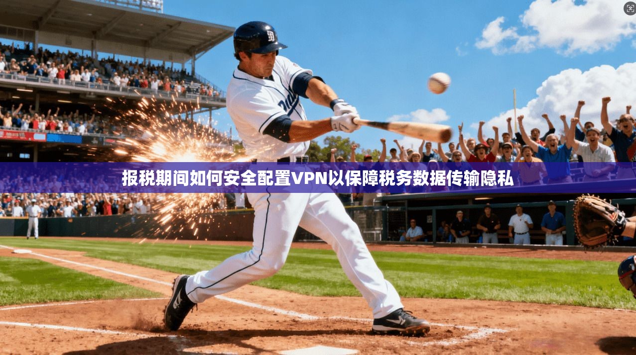 报税期间如何安全配置VPN以保障税务数据传输隐私