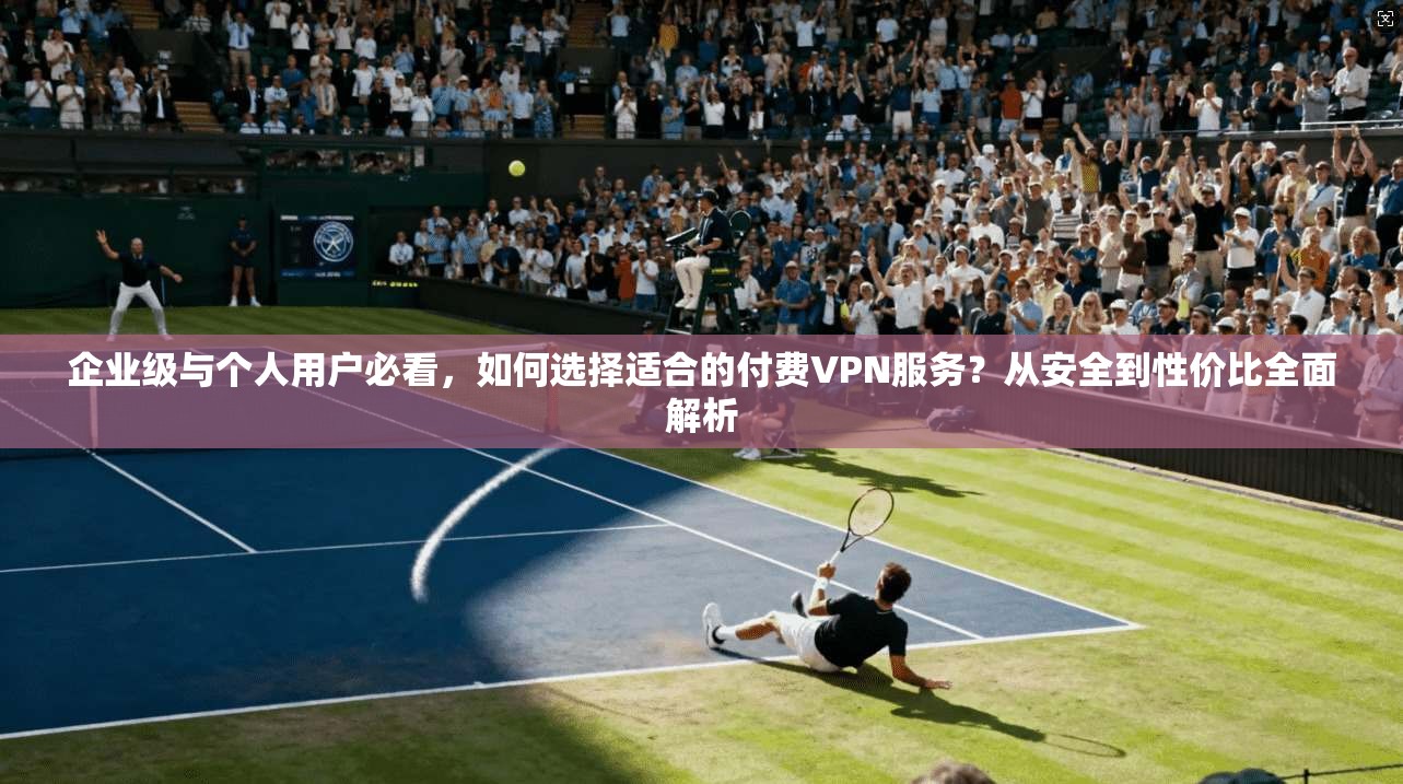 企业级与个人用户必看,如何选择适合的付费VPN服务?从安全到性价比全面解析