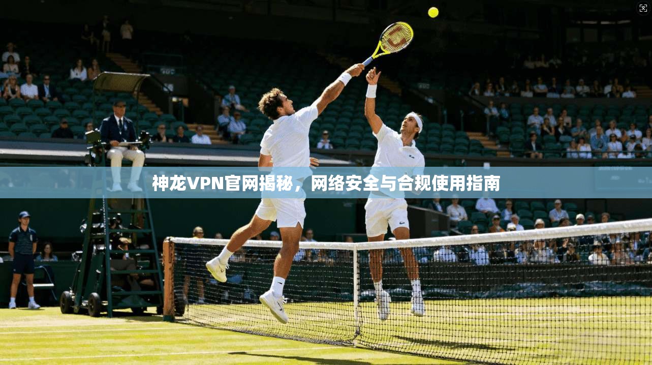 神龙VPN官网揭秘，网络安全与合规使用指南