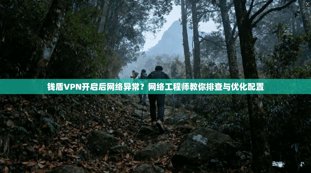钱盾VPN开启后网络异常？网络工程师教你排查与优化配置