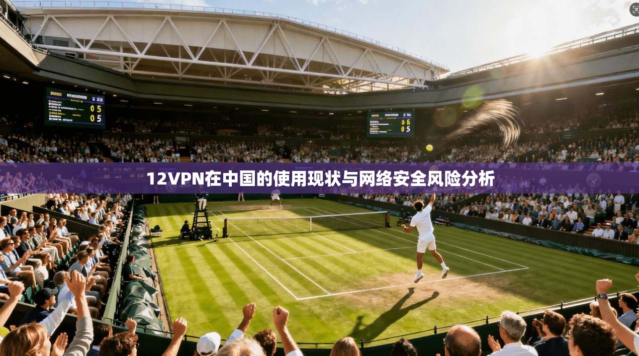 12VPN在中国的使用现状与网络安全风险分析
