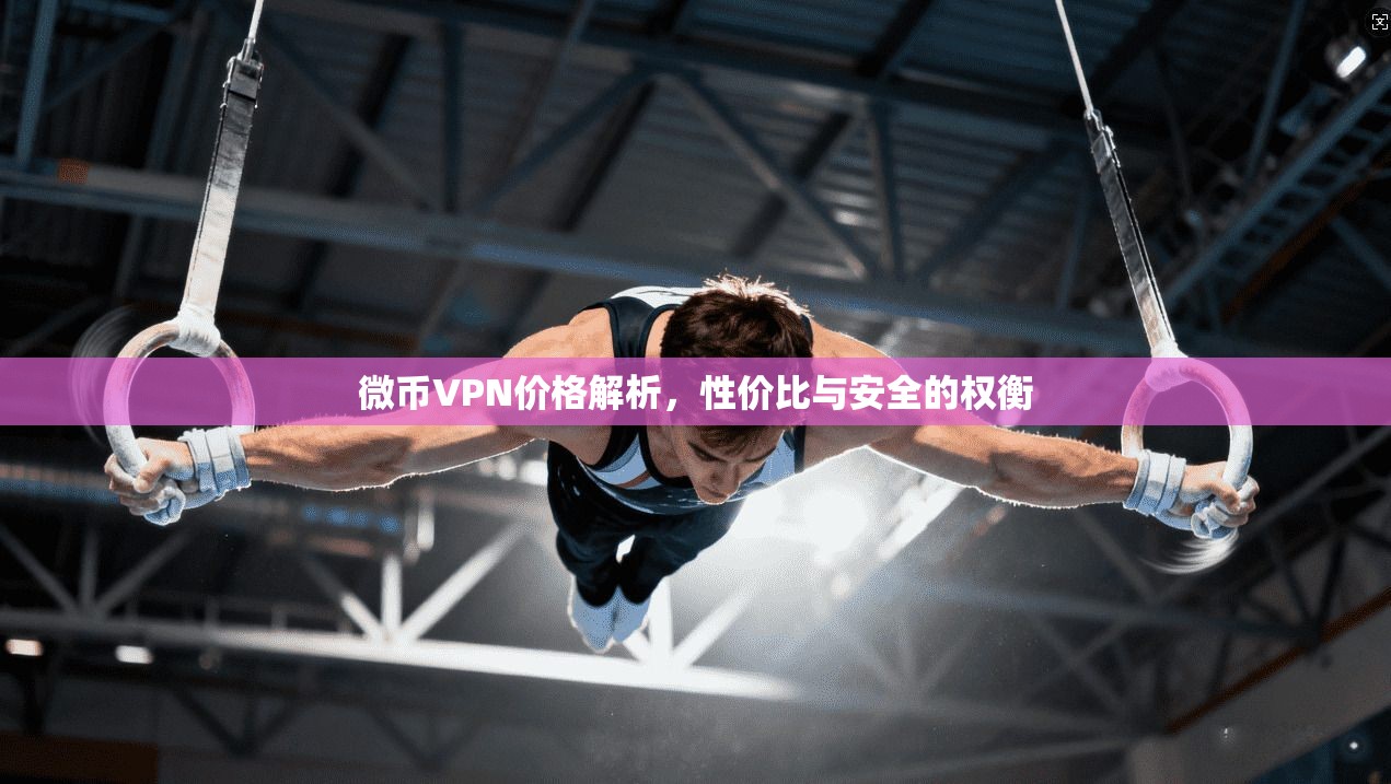 微币VPN价格解析，性价比与安全的权衡