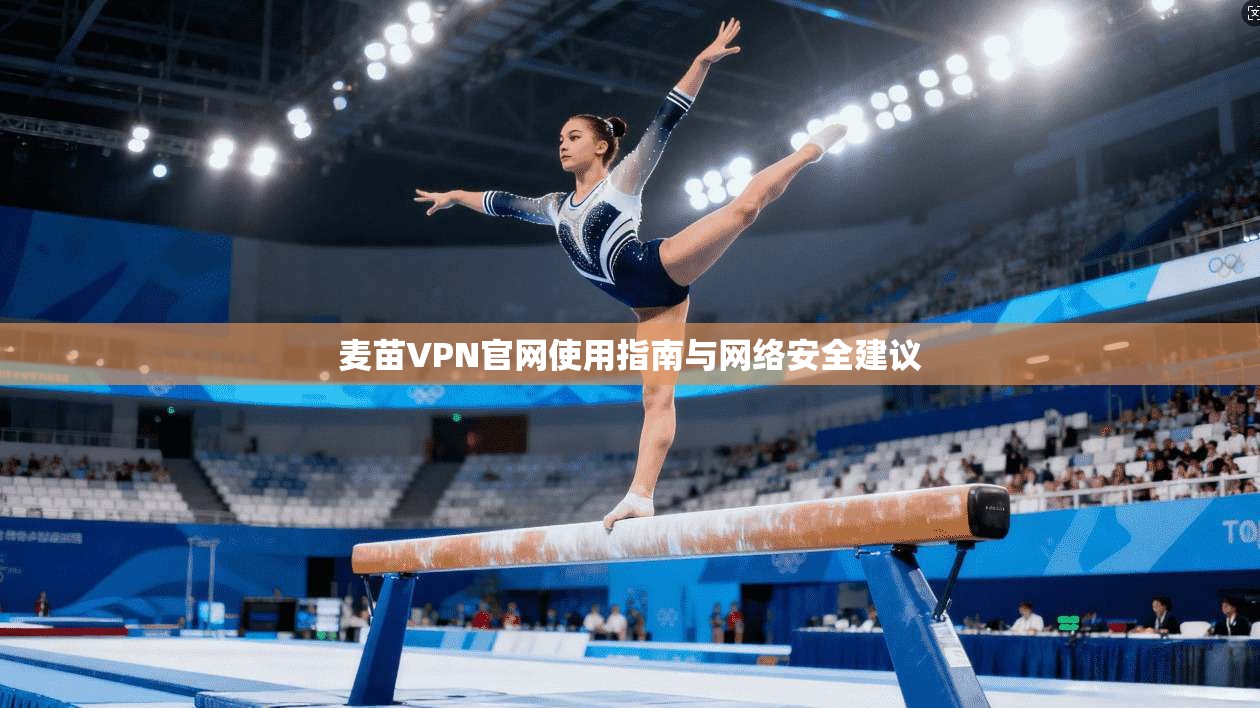 麦苗VPN官网使用指南与网络安全建议