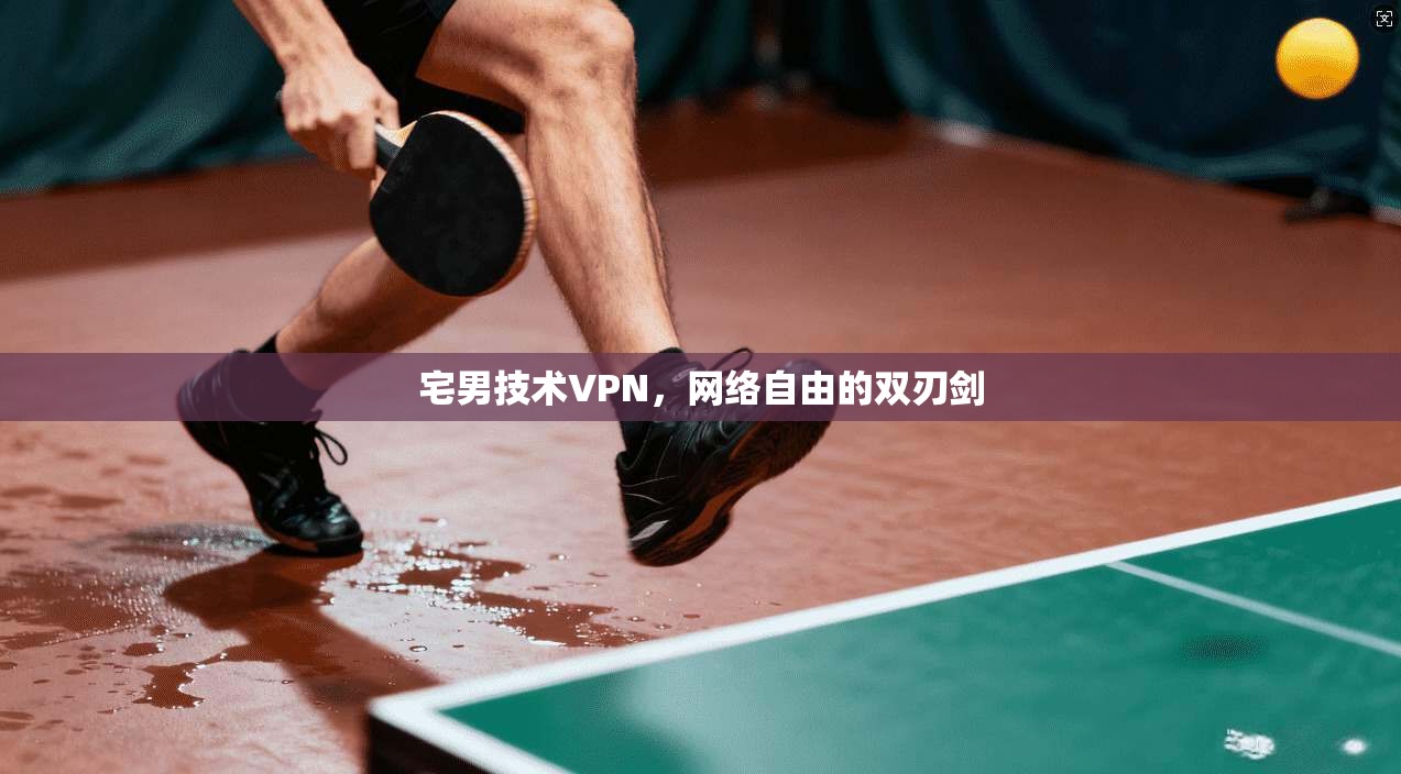 宅男技术VPN,网络自由的双刃剑