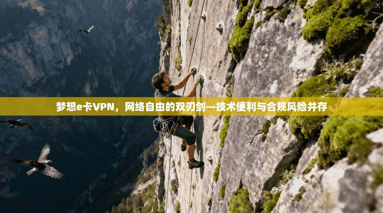 梦想e卡VPN，网络自由的双刃剑—技术便利与合规风险并存