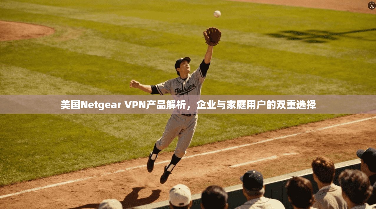 美国Netgear VPN产品解析,企业与家庭用户的双重选择