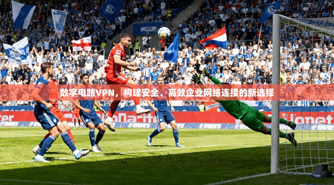 数字电路VPN,构建安全、高效企业网络连接的新选择