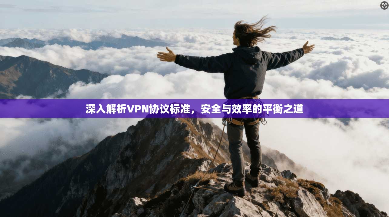 深入解析VPN协议标准,安全与效率的平衡之道
