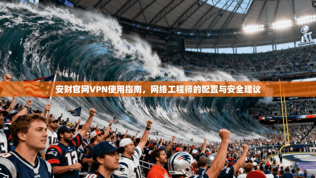 安财官网VPN使用指南,网络工程师的配置与安全建议