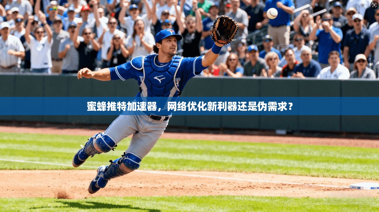 蜜蜂推特加速器，网络优化新利器还是伪需求？