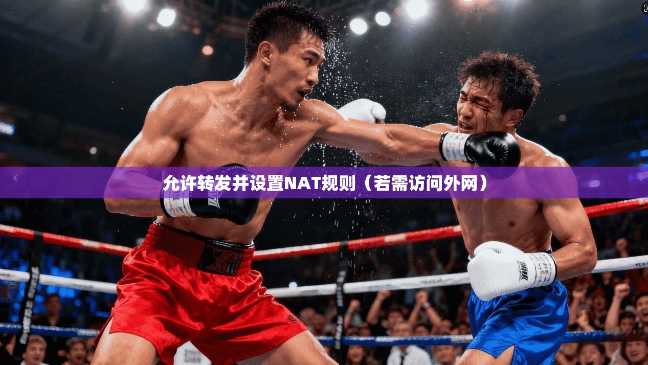 允许转发并设置NAT规则（若需访问外网）