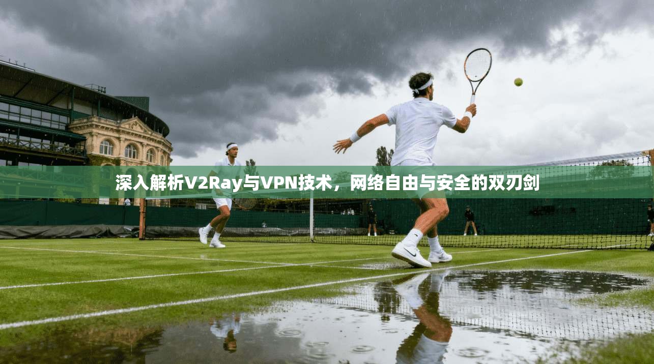 深入解析V2Ray与VPN技术，网络自由与安全的双刃剑