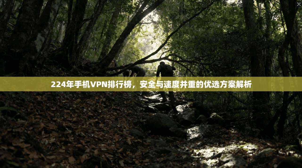 224年手机VPN排行榜，安全与速度并重的优选方案解析