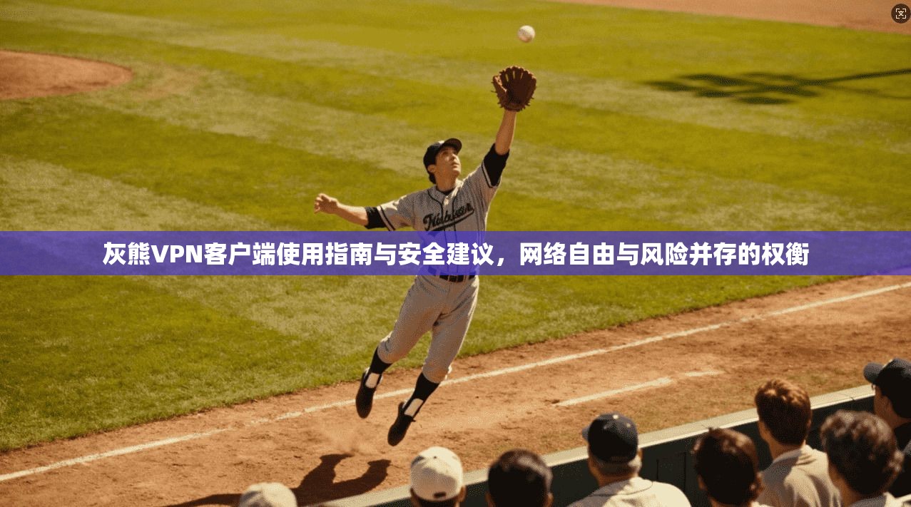 灰熊VPN客户端使用指南与安全建议,网络自由与风险并存的权衡