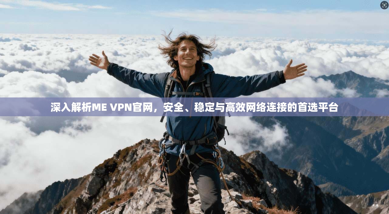 深入解析ME VPN官网，安全、稳定与高效网络连接的首选平台