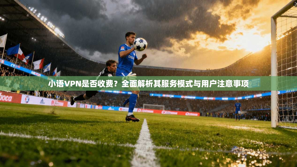 小语VPN是否收费?全面解析其服务模式与用户注意事项