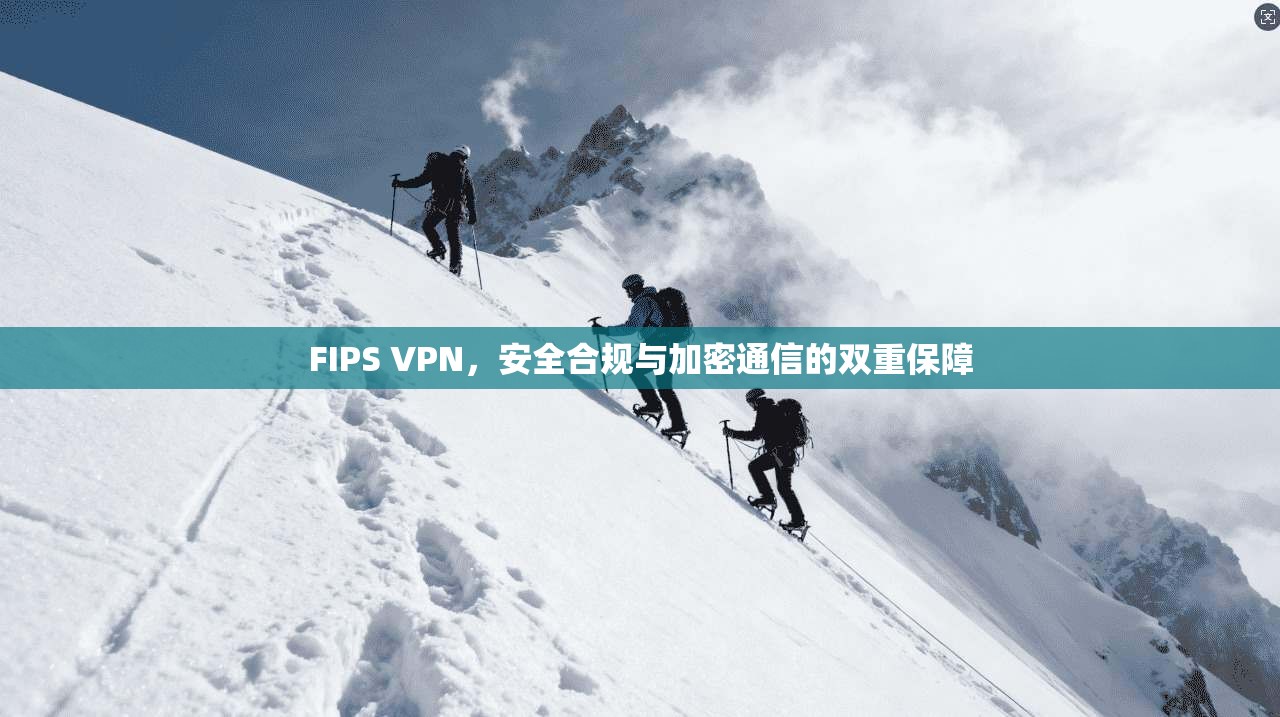 FIPS VPN，安全合规与加密通信的双重保障