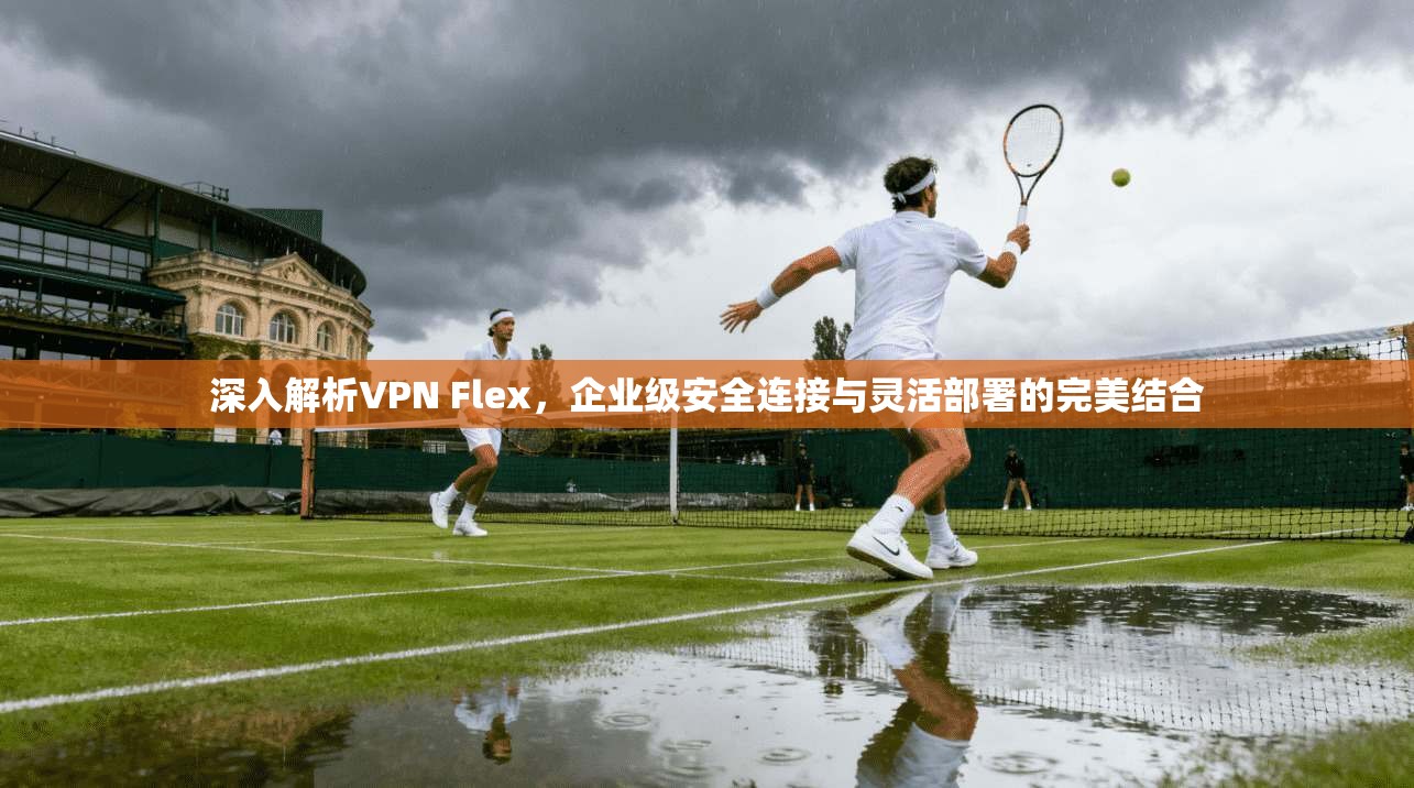 深入解析VPN Flex，企业级安全连接与灵活部署的完美结合