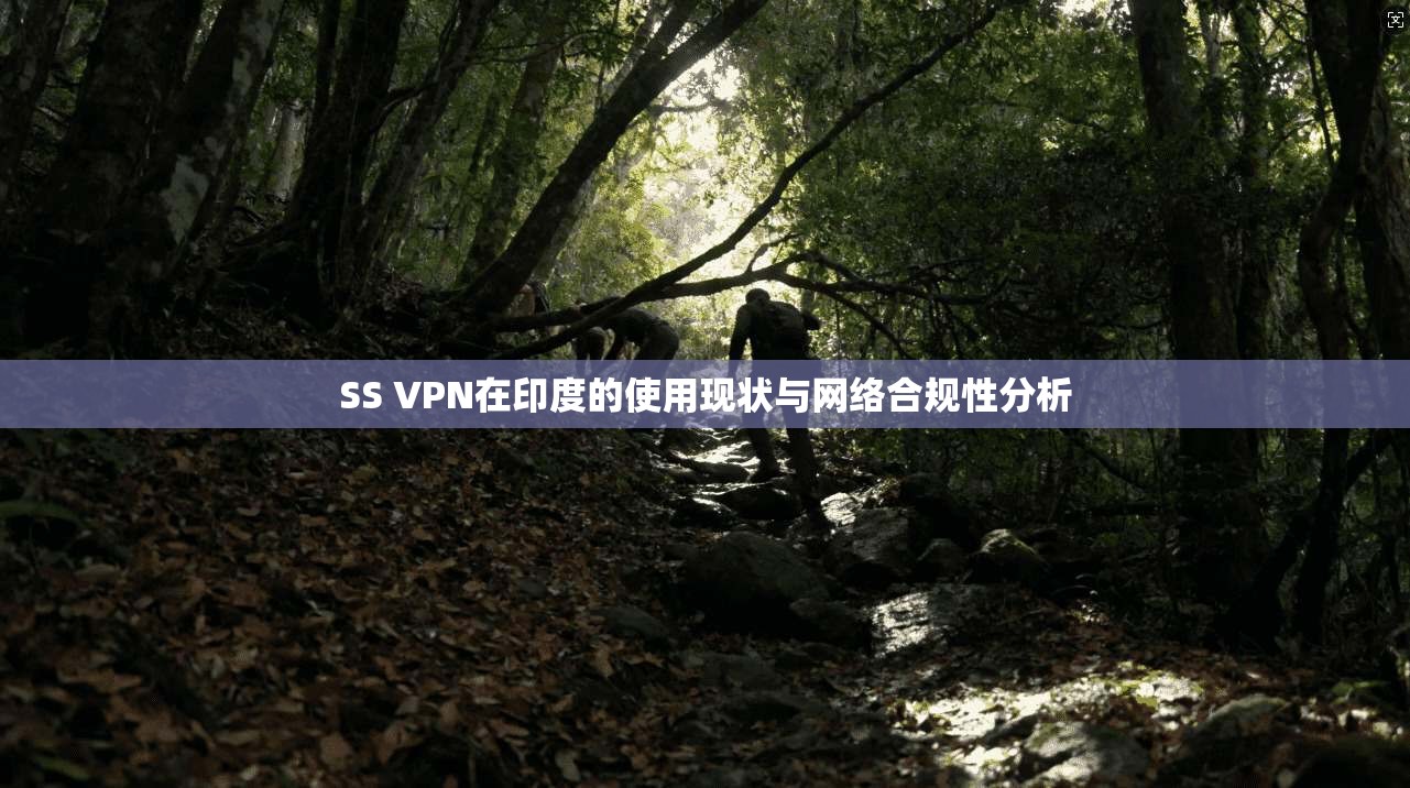 SS VPN在印度的使用现状与网络合规性分析