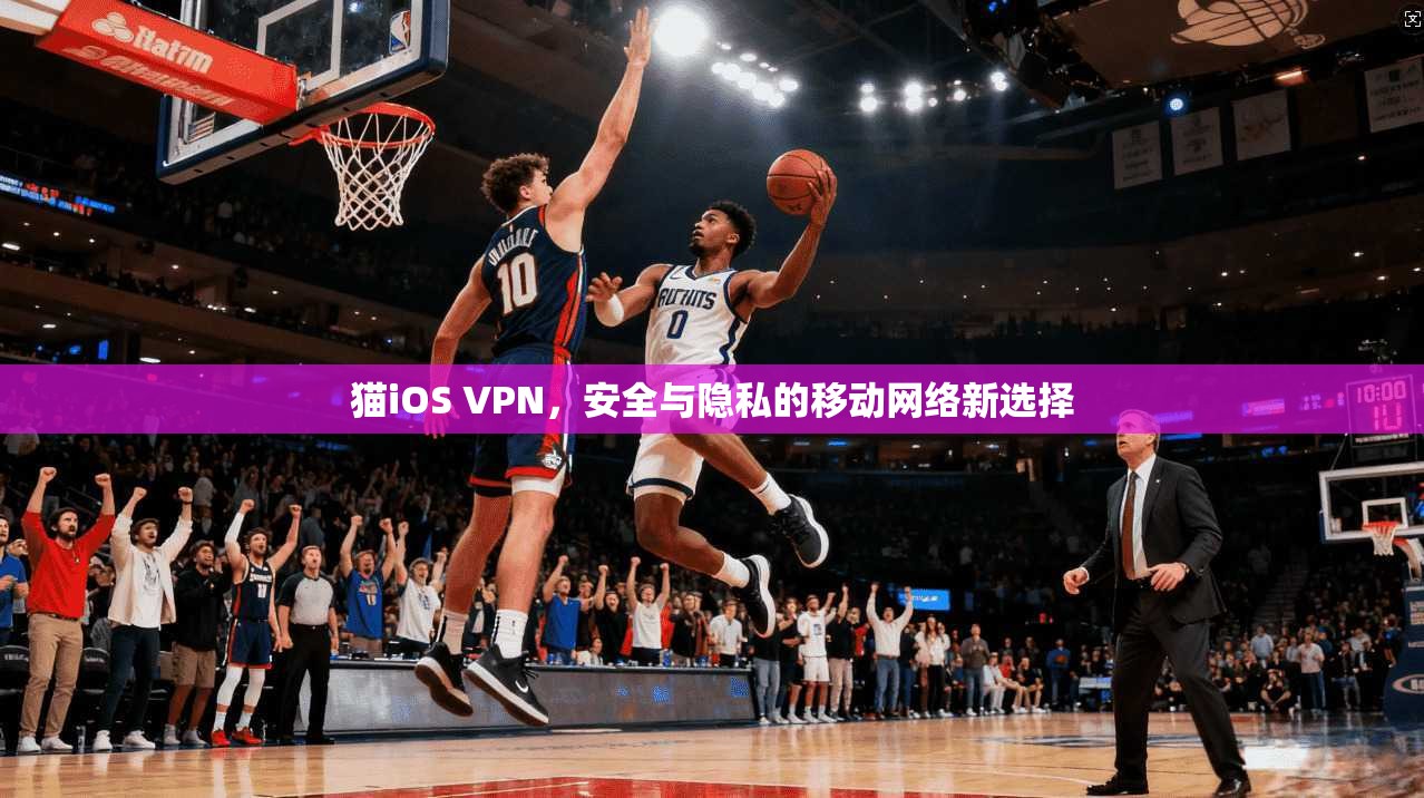 猫iOS VPN，安全与隐私的移动网络新选择