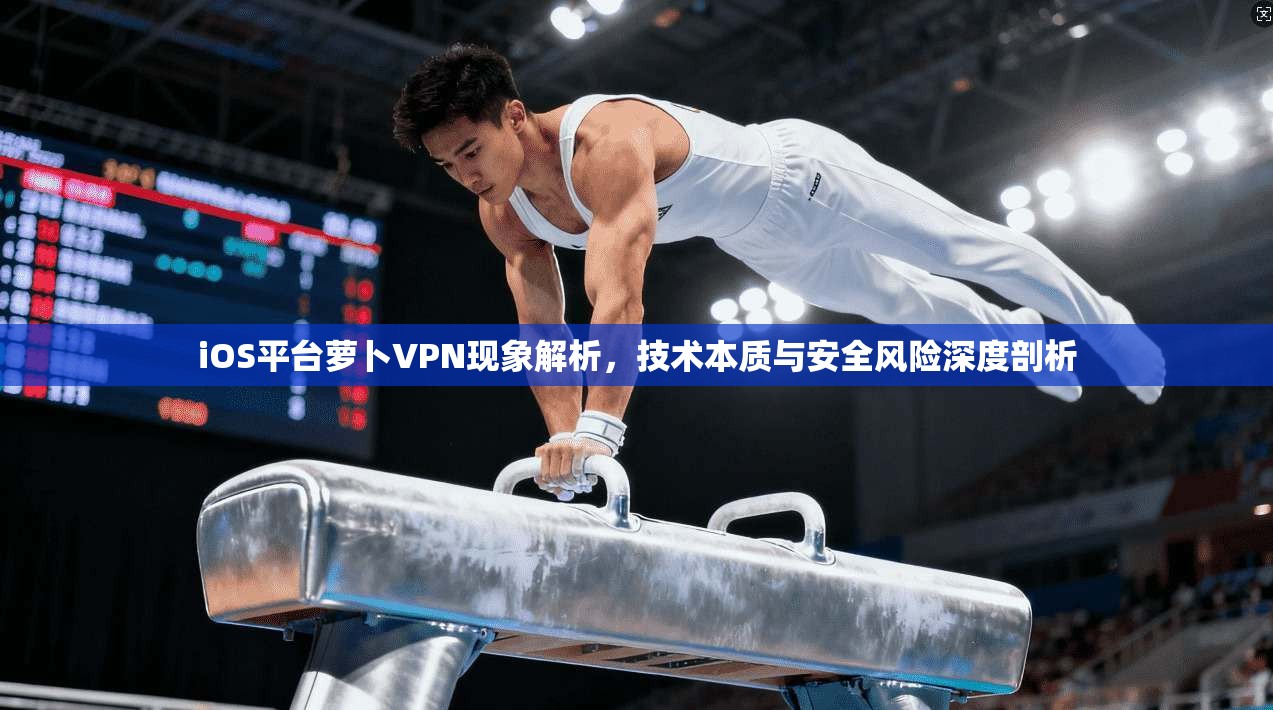 iOS平台萝卜VPN现象解析，技术本质与安全风险深度剖析