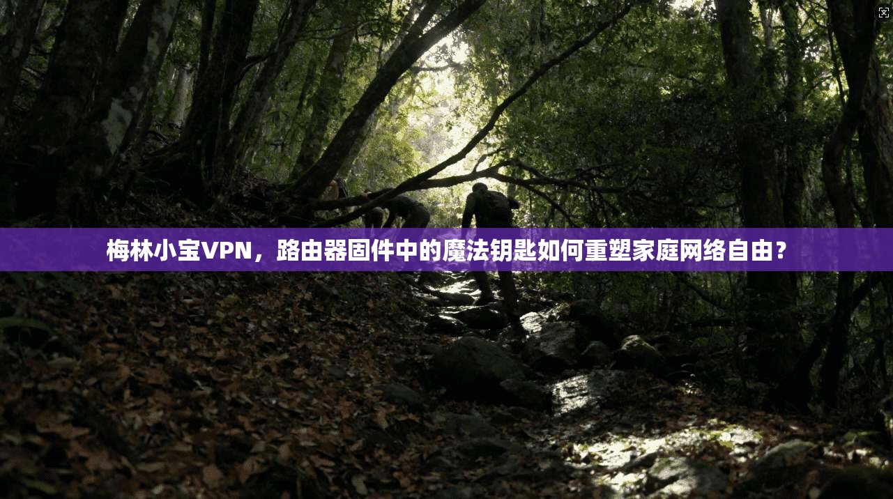 梅林小宝VPN,路由器固件中的魔法钥匙如何重塑家庭网络自由?