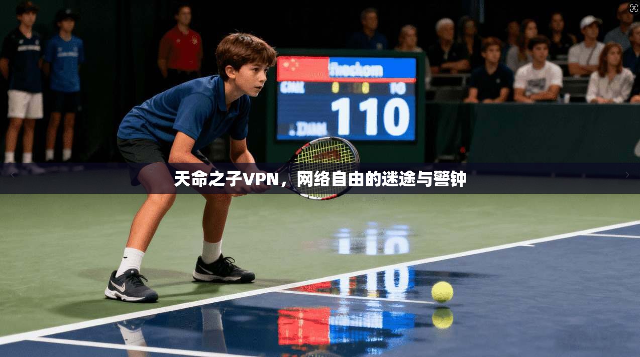 天命之子VPN，网络自由的迷途与警钟