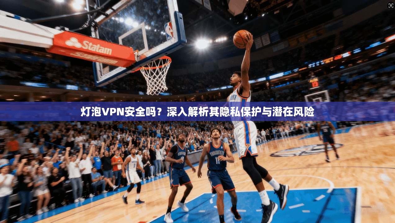灯泡VPN安全吗?深入解析其隐私保护与潜在风险
