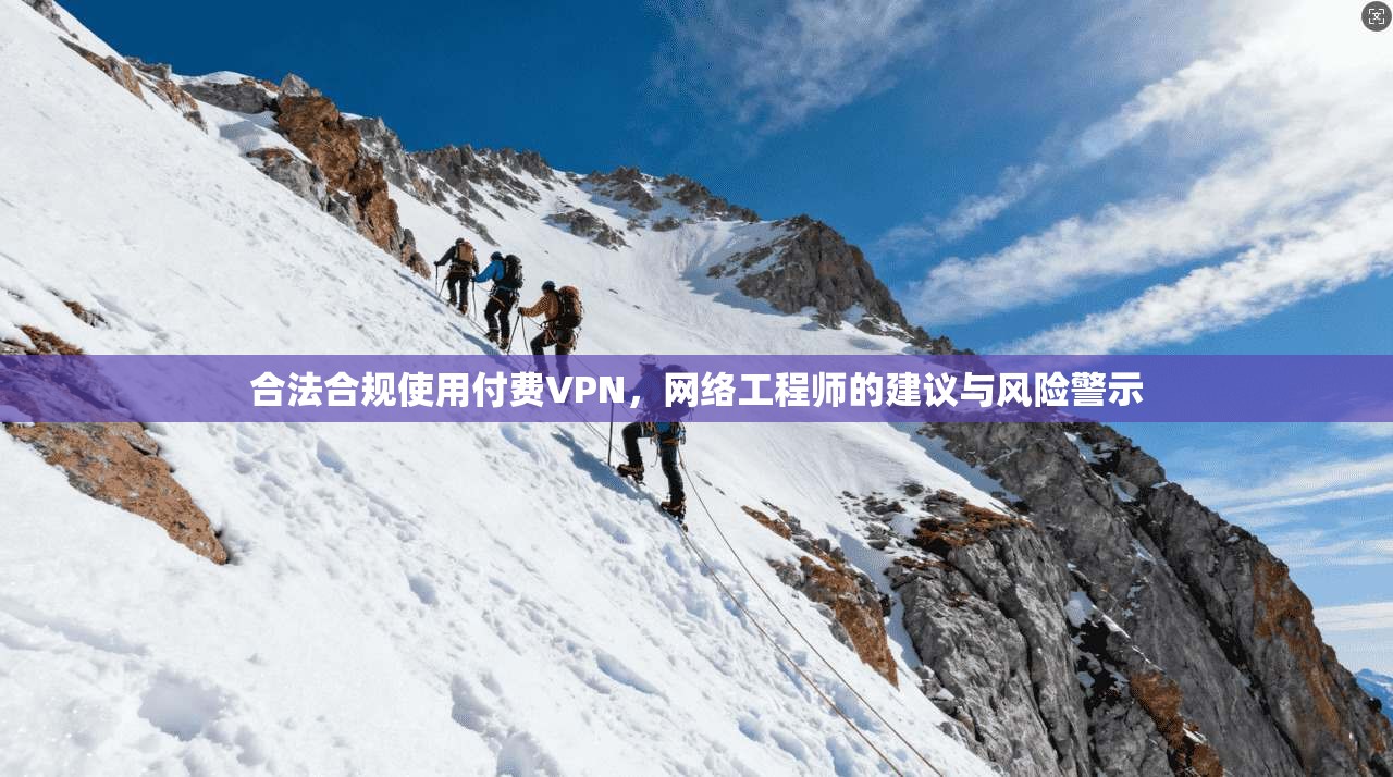 合法合规使用付费VPN,网络工程师的建议与风险警示