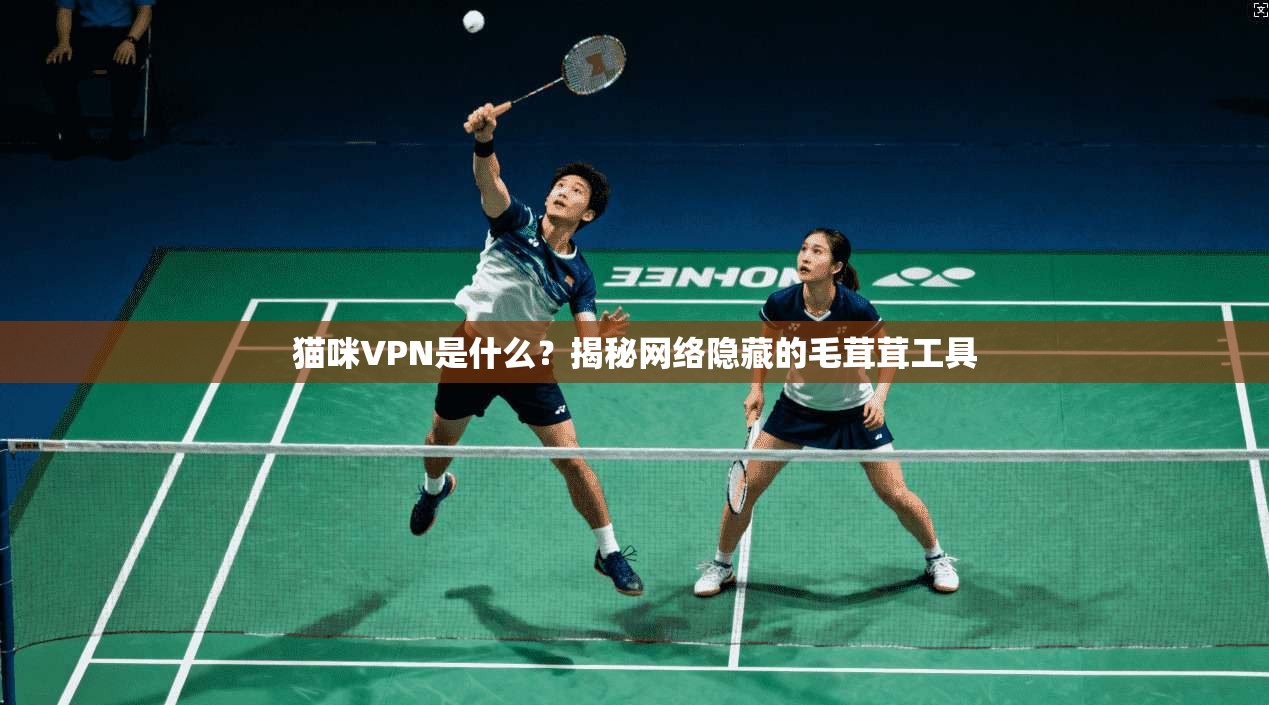 猫咪VPN是什么？揭秘网络隐藏的毛茸茸工具