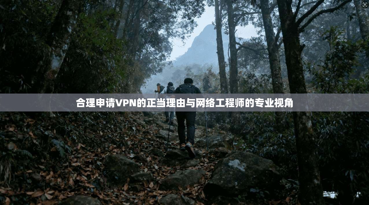 合理申请VPN的正当理由与网络工程师的专业视角