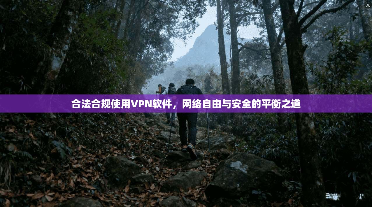合法合规使用VPN软件，网络自由与安全的平衡之道
